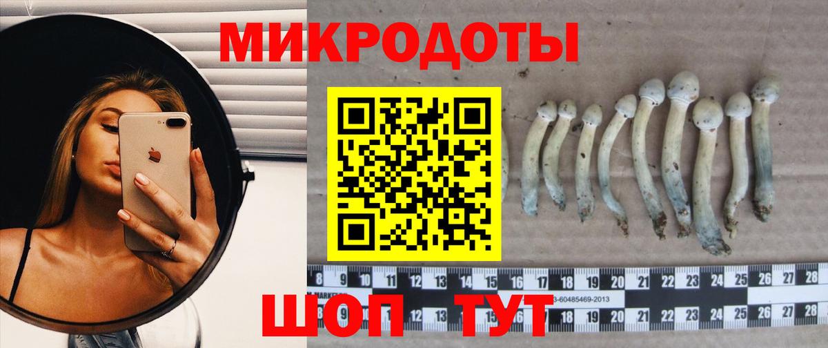 Псилоцибиновые грибы прущие грибы Нижний Новгород